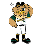 Hawk Mascot